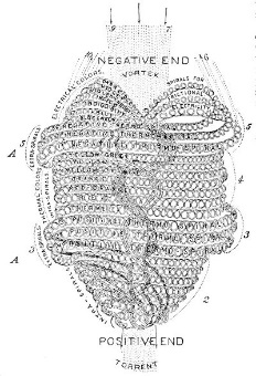 ***Alt Text for Aether Physics here