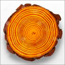 ***Alt Text for Baumring Metaphysical List here