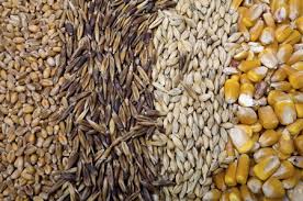 ***Alt Text for Grain Trading here