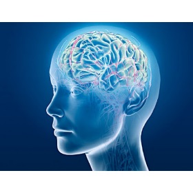***Alt Text for Mental Science here